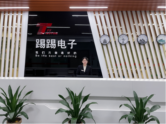 深圳市踢踢电子有限公司